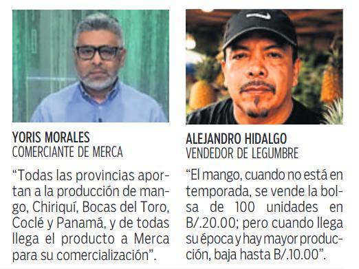 $!Producción de mango supera los 6 mil quintales al año