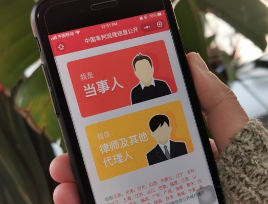 Joven soltera china busca novio virtual de pago