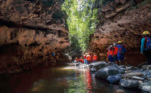 Ferias, playas y parques, si no va a carnavalear