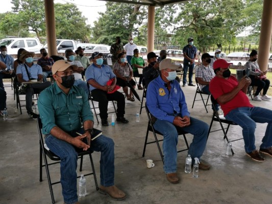 Productores de Bocas del Toro solicitan marcar los límites en la frontera con Costa Rica