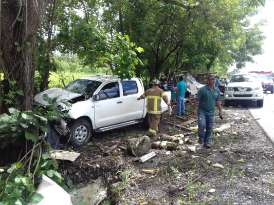 Conductor se estrella con puesto de legumbres