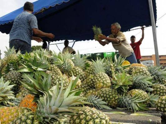 Sectores claves para Colón, Panamá y Panamá Oeste