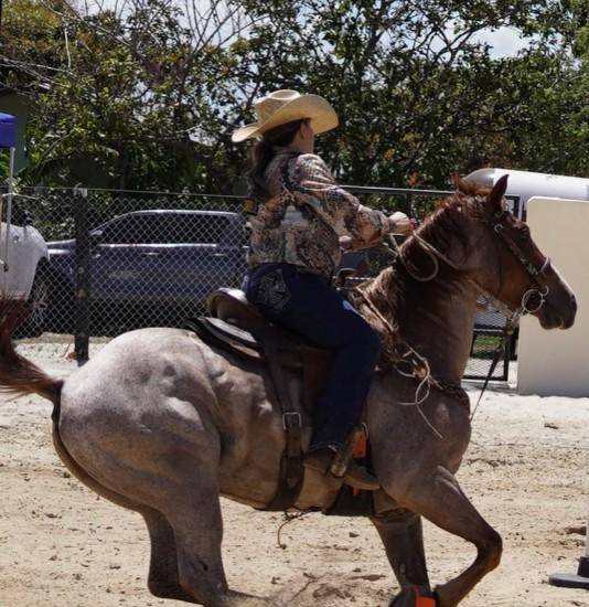Caldo Deportivo del 22 de abril de 2026