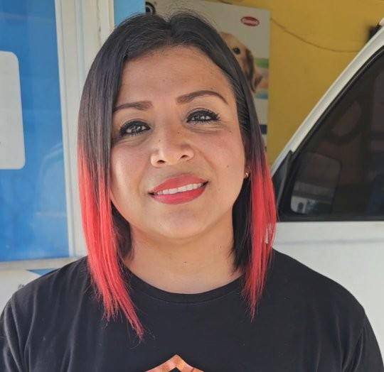 Se activa red de solidaridad para proteger a las mascotas