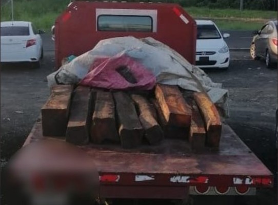 Imputan cargos a dos personas por tráfico de madera cocobolo