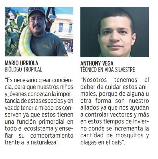 $!Los anfibios y su función como biocontroladores ambientales