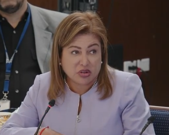 Exceso en gastos de campaña una causal para anular elecciones