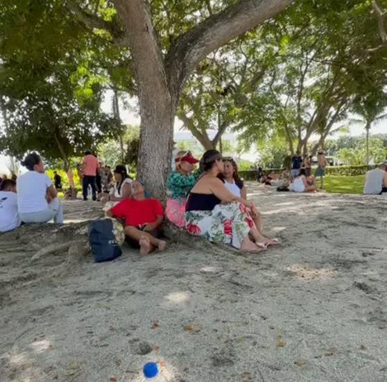 Zonas turísticas buscan recuperar su actividad
