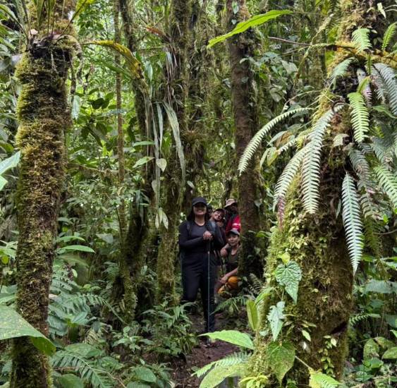 El Trueno, gran caída de agua natural en Boquerón