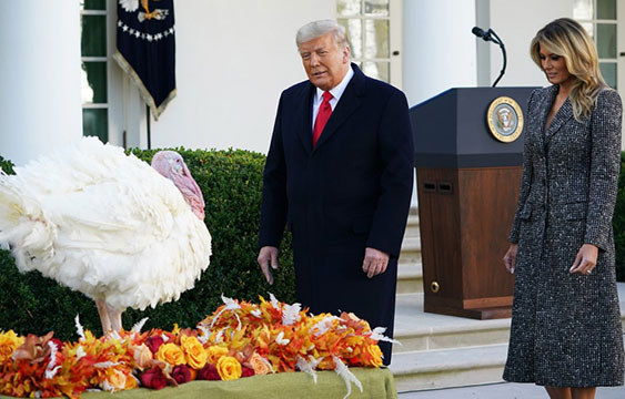 Trump indulta a su último pavo en la Casa Blanca