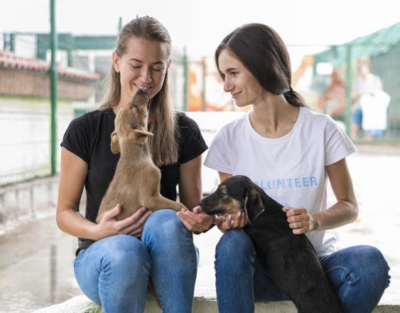 Freepik | Mujeres en el refugio jugando con dos lindos perros que fueron rescatados.