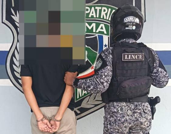 La Policía detuvo a 223 personas en las últimas 24 horas