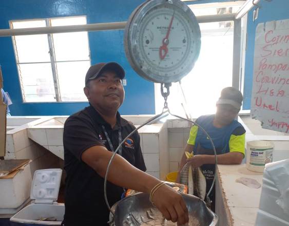 Verifican precios y balanzas en mercados de Coclé