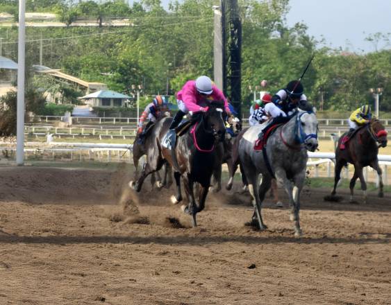 Foto Boris Valdivieso | Los ejemplares De Chambeau y Adage durante el Clásico Francisco Arias Paredes y Alberto Arias Espinosa.