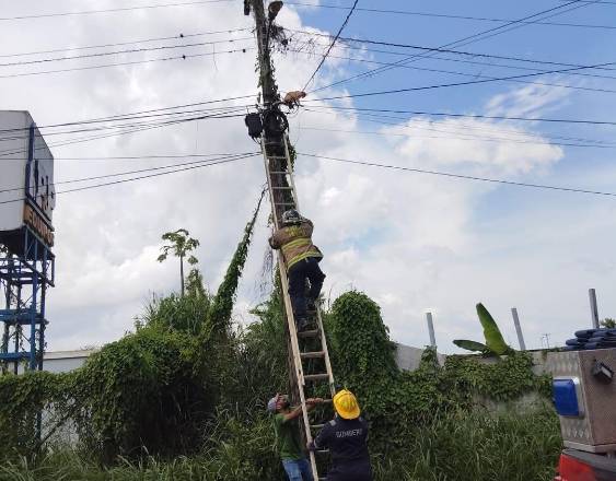 Bomberos rescatan a un gato en poste eléctrico