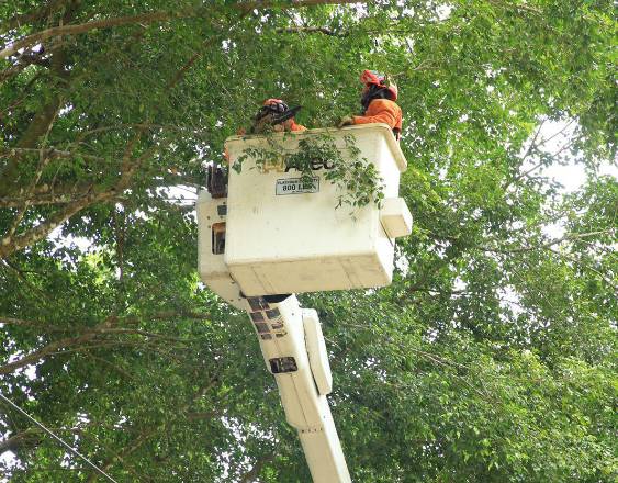 AVISO IMPORTANTE: Trabajos de mantenimiento en la red eléctrica del 3 al 9 de agosto de 2026