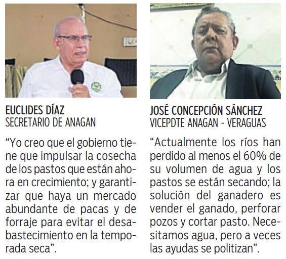 $!Pozos y bancos de forraje, para enfrentar fenómeno de El Niño