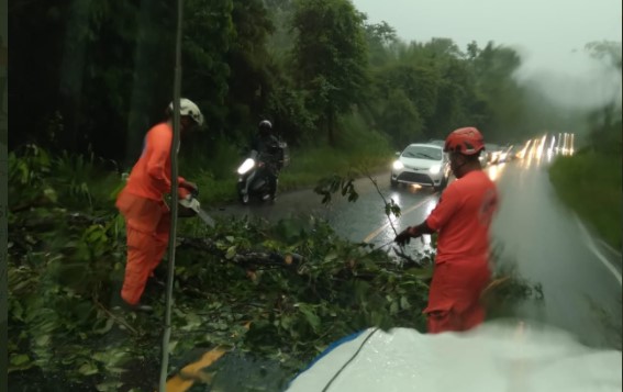 Calles anegadas y caída de árboles dejan lluvias por ingreso de la onda tropical #38