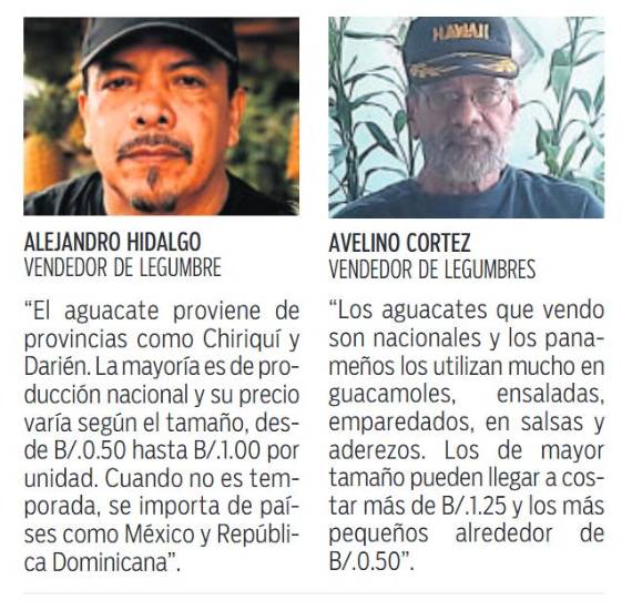 $!La producción de aguacate en Panamá supera los 188 mil quintales al año