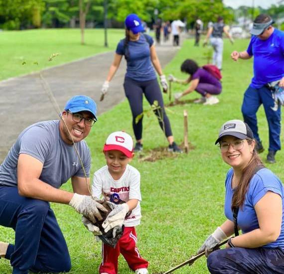 Más de 175 tipos de árboles en la city