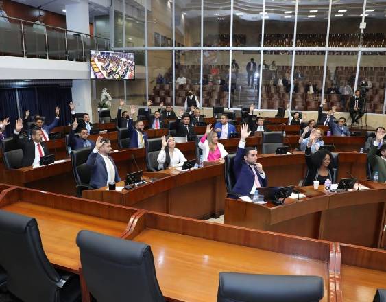ML | Los diputados durante una votación en el pleno legislativo.