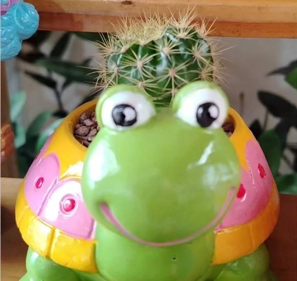 El Jardín de Karen, negocio que elabora maceteros de animales y figuras animadas