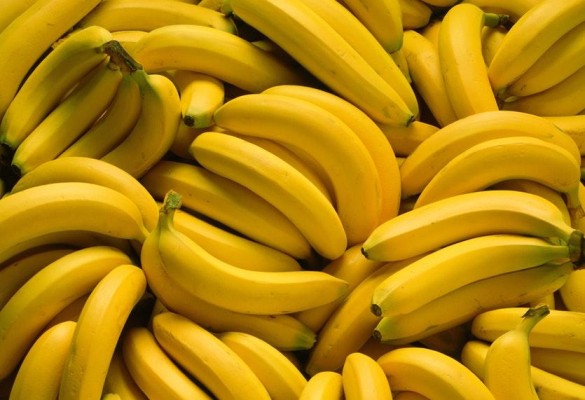 Banapiña realizará hoy el primer embarque de banano
