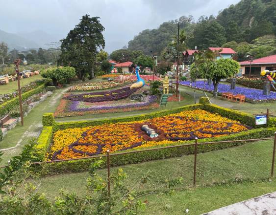 ML | Feria de las Flores y del Café.