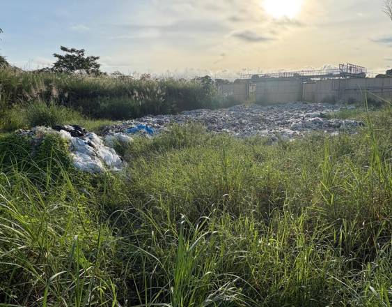 Cortesía | La basura cercana al aeropuerto atrae a las aves.