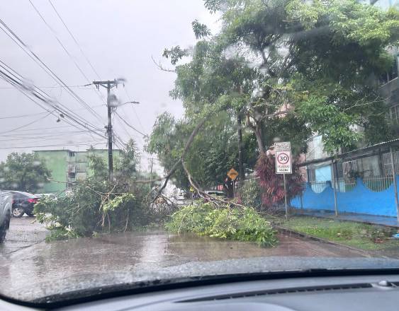 Lluvias de este domingo provocan inundaciones y caída de árboles en la capital