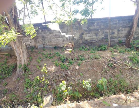 Trasladan juegos del equipo de Panamá Este por “inconvenientes técnicos” en el J.Thompson