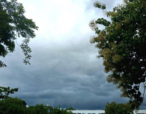 Cortesía | Nubes.