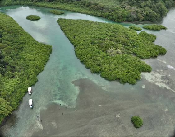 Panamá será sede mundial de la la Convención Mundial RAMSAR de conservación de humedales en 2028