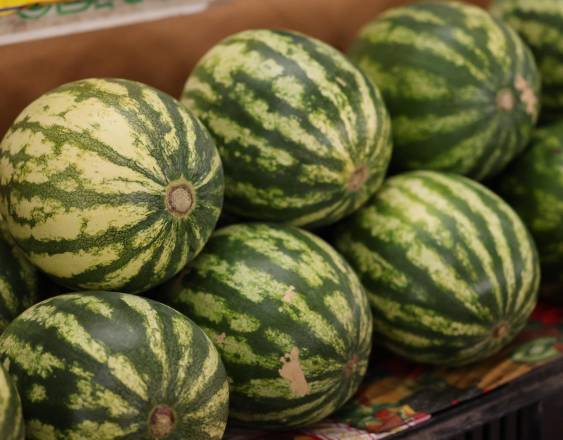 ML | Sandías en exhibición en un mercado de Panamá, uno de los principales puntos de comercialización.
