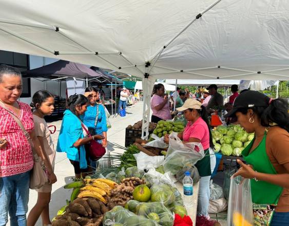 El IMA realizará agroferias este 10 y 11 de agosto