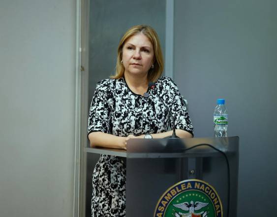 ML | La ministra de Gobierno Dinoska Montalvo en la Asamblea.