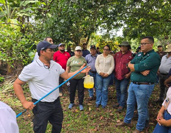 ML | Realizan capacitación.