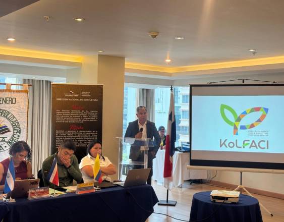 ML | Reunión de expertos.