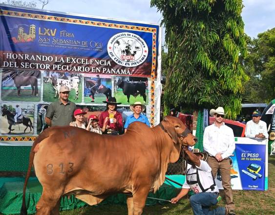ISA se alza con el Gran Campeón Becerra en el Juzgamiento Brahman de Ocú