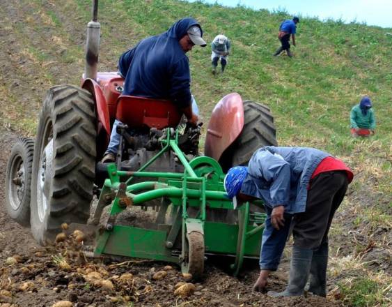BDA cumple 53 años enfocado en su transformación y financiamiento a pequeños productores