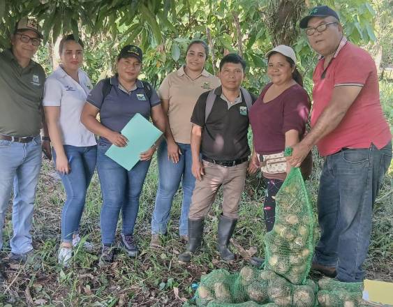 Cortesía | Productores con la semilla de plátanos.