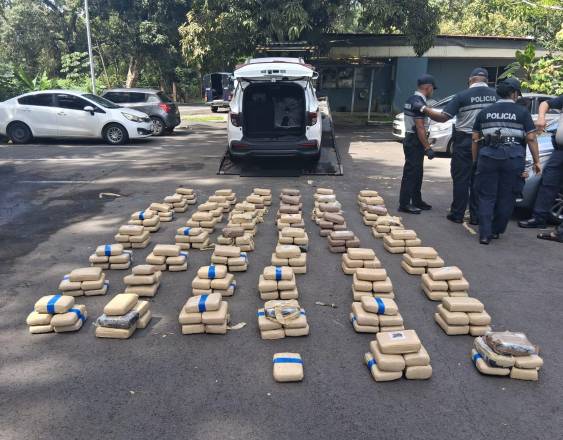 ML | Los paquetes con las sustancias ilícitas.