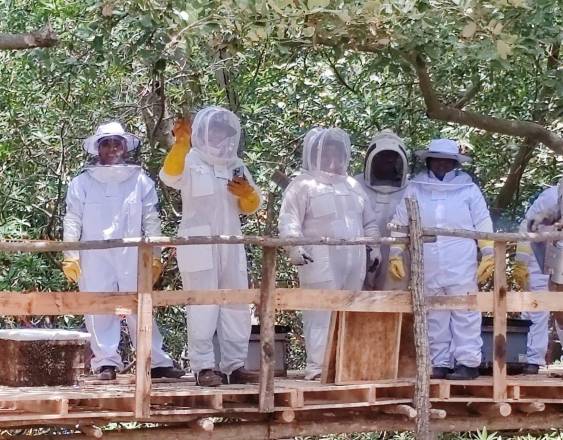 Cortesía | Expertos durante el recorrido.