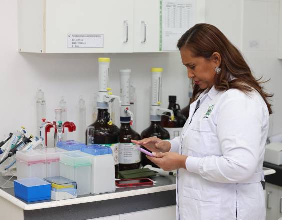 ML | Trabajo en el laboratorio.
