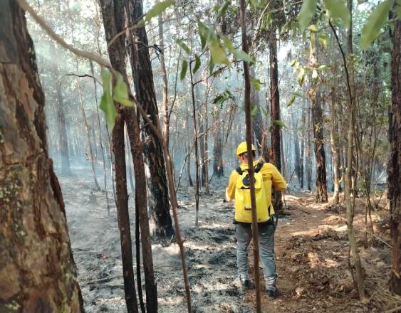 Bomberos mantienen estado de emergencia por incendio en La Yeguada