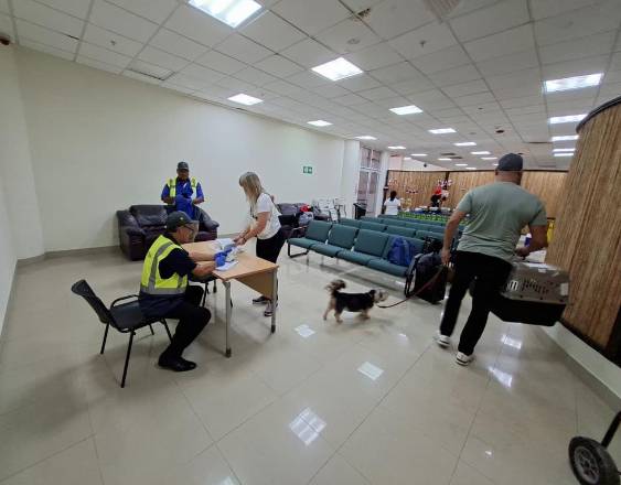 ML | Cuarentena Agropecuaria MIDA.