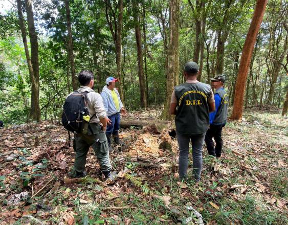 MiAmbiente | Personal del Ministerio de Ambiente y autoridades en el área prohibida del Volcán, Barú.