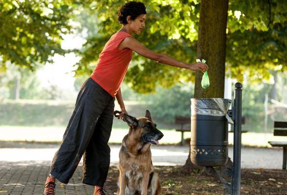 Responsabilidad con las mascotas