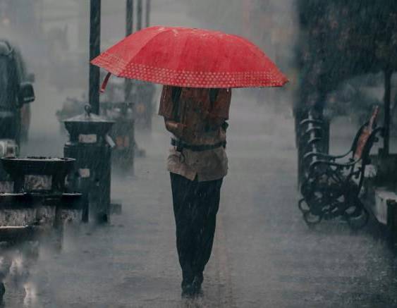 Pexels | Una persona camina con un paraguas bajo la lluvia.