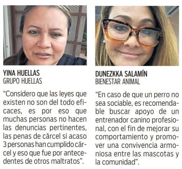 $!Los deberes y derechos de los dueños de mascotas